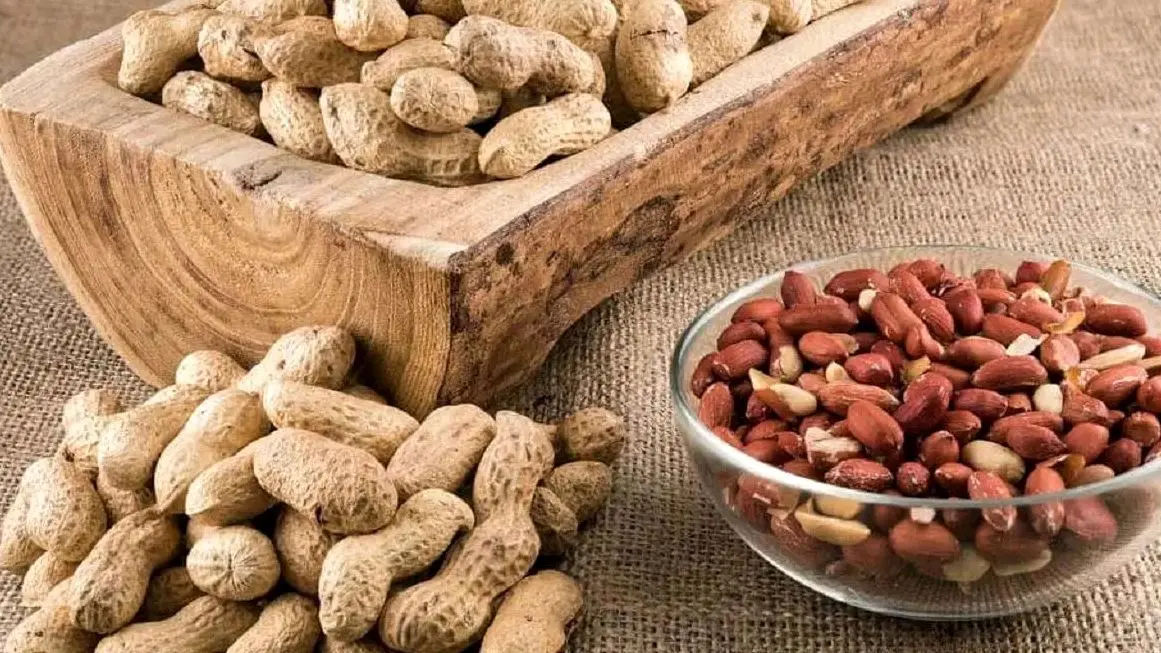 چگونه با یک مغز خوشمزه پیری را به تاخیر بیندازیم؟