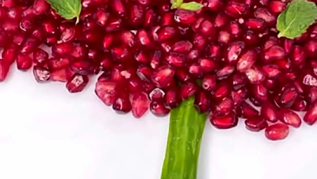 دوشنبه فردای شب یلدا تعطیل است؟ دوشنبه فردای شب یلدا تعطیل است؟