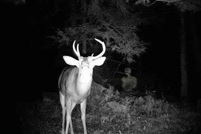 نام های معروف ترین جن ها که مذکر و مونث هستند ! / ریختن آب داغ راهی برای فرار اجنه …