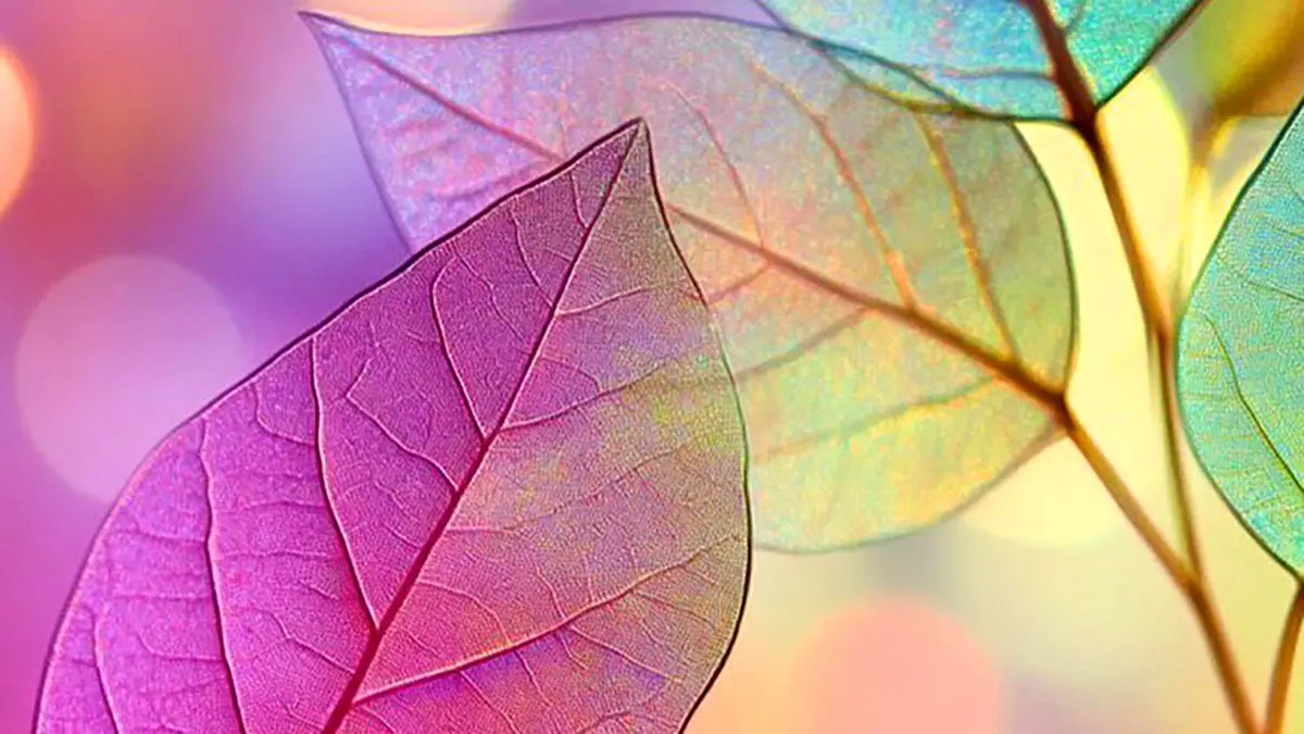 فال ابجد محشر 26 آذر فال ابجد محشر 26 آذر