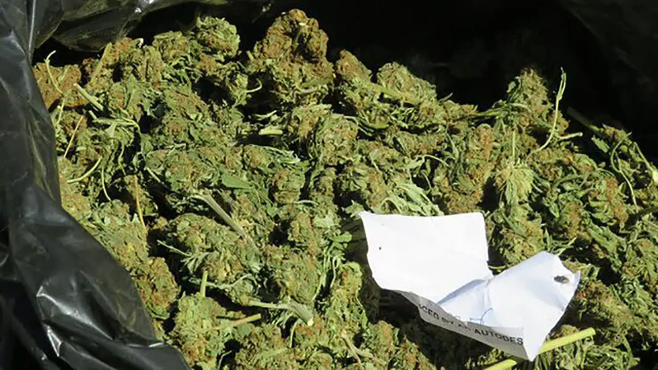 نقش خانواده در مهار یک آسیب آشکار / سن مصرف گل