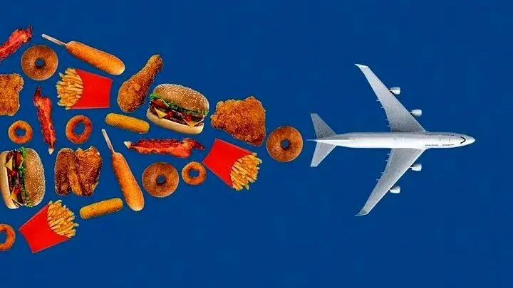 منبع جدید برای سوخت هواپیما