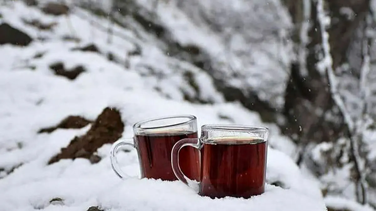 فال ابجد امروز 13 دی