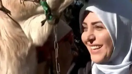 به آدم قدرنشناس که کینه به دل بگیره بخواد بهت ضربه بزنه میگن کینه شتری داره/ شتر نباشید! به آدم قدرنشناس که کینه به دل بگیره بخواد بهت ضربه بزنه میگن کینه شتری داره/ شتر نباشید!