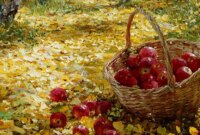 فال ابجد 18 بهمن