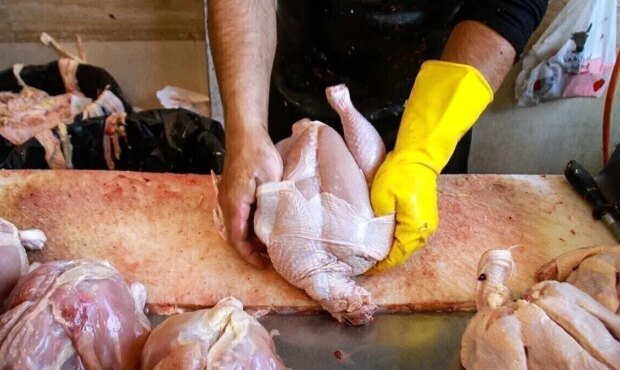 آخرین قیمت مرغ در بازار / سینه 350 ، فیله 400 هزار تومان