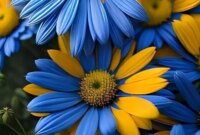 فال امروز شما در 27 بهمن