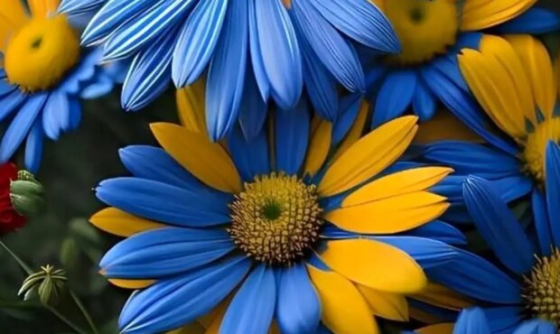 فال امروز شما در 27 بهمن