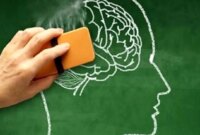 این خوردنی ها حافظه تان را قوی می کند !