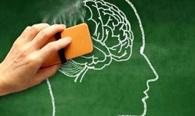 این خوردنی ها حافظه تان را قوی می کند !