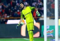 اینقدر رفتید برای پیتر چک کامنت گذاشتید اومد برای من نوشت آفرین تو خوبی، تو رفتی جام جهانی