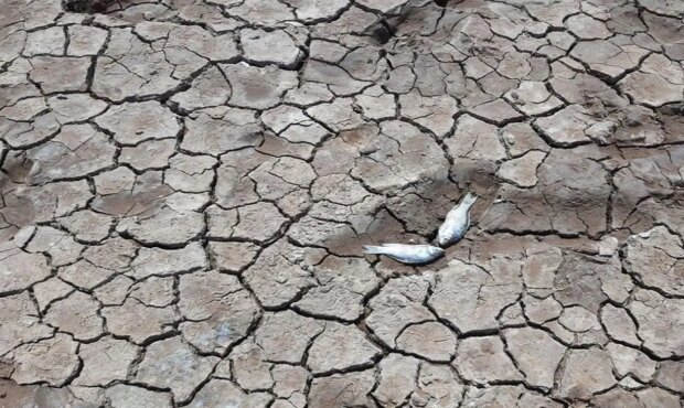 دریاچه ارومیه با وجود بارندگی ها از دست رفت / یک فاجعه‌ جهانی در سطح ملی / ۷۰ درصد تالاب‌ها خشک است/سازمان محیط زیست فقط خبر از دست رفته ها می دهد