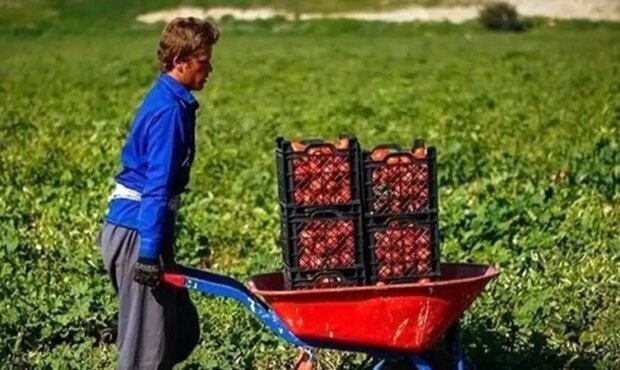 خلاقیتکشاورز تبریزی در آبیاری ابتکاری در زمان بی آبی شاهکاریه در نوع خودش/ هنر نزد ایرانیان است و بس!