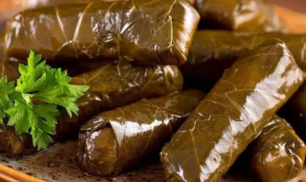 دلمه برگ مو روایت خوش‌طعم یک غذای کهن