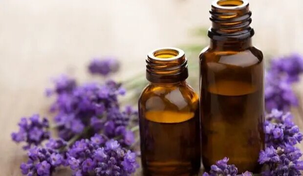 راز داشتن پوست و موی سالم با 6 روغن گیاهی بی نظیر