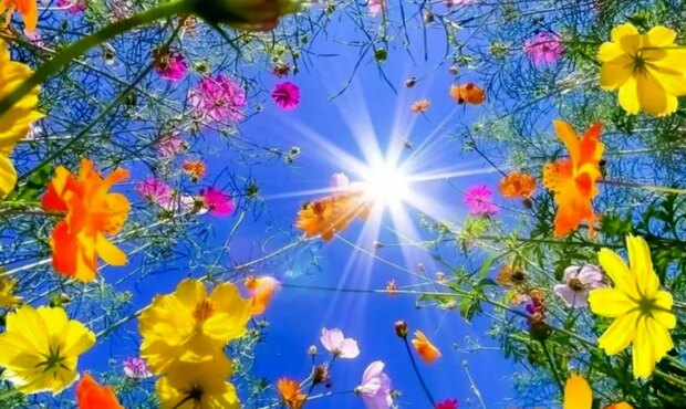 فال امروز 19 بهمن