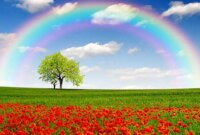 فال امروز 17 بهمن شما دوست عزیز