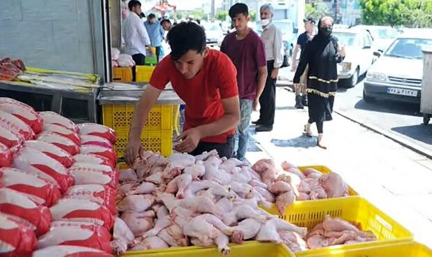 قیمت گوشت قرمز و قیمت مرغ در بازار چند؟