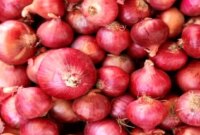 قیمت خرید تضمینی سیب‌ زمینی و پیاز از کشاورزان اعلام شد + جدول قیمت‌ ها