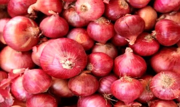 قیمت خرید تضمینی سیب‌ زمینی و پیاز از کشاورزان اعلام شد + جدول قیمت‌ ها