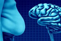 حقایقی درباره ارتباط چربی با کاهش حجم مغز